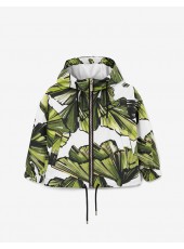 Ветровка Ветровка